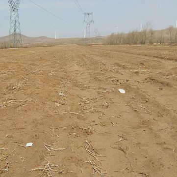河北、内蒙古部分农场基地土壤情况