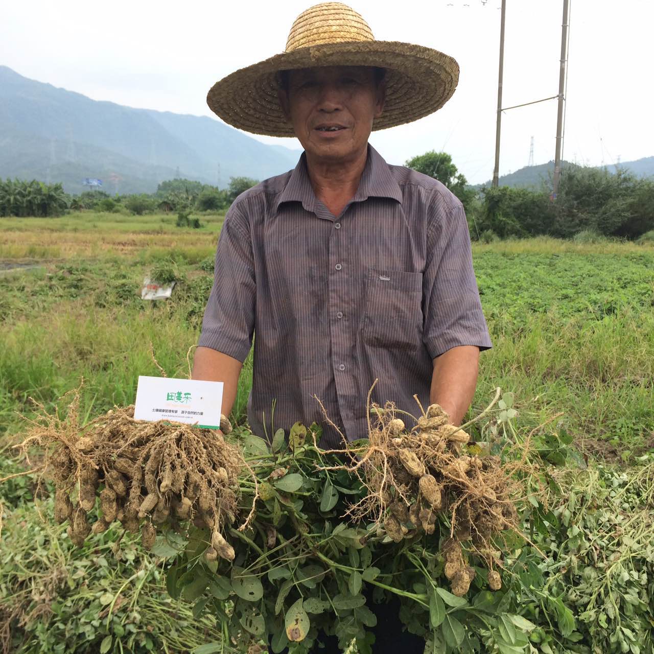 惠东农户：用过田美乐的土地，种出来的庄稼就是不一样！